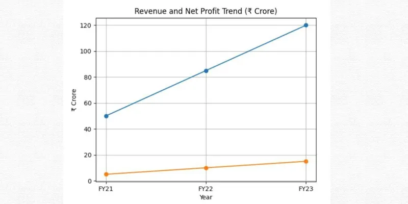 SBC EXPORTS LIMITED FINANCIAL AND BUSINESS ANALYSIS REPORT